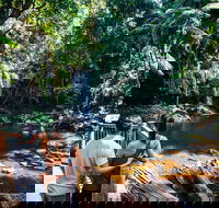 Aquaduck  Your choice of Gold Coast Rainforest Tour - Goulburn Accommodation