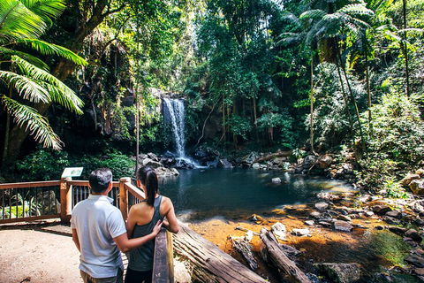 Aquaduck & Your Choice Of Gold Coast Rainforest Tour - Goulburn Accommodation 0