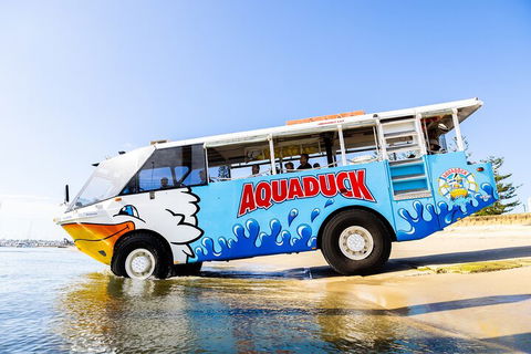 Aquaduck & Your Choice Of Gold Coast Rainforest Tour - Goulburn Accommodation 3