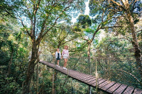 Aquaduck & Your Choice Of Gold Coast Rainforest Tour - Goulburn Accommodation 4