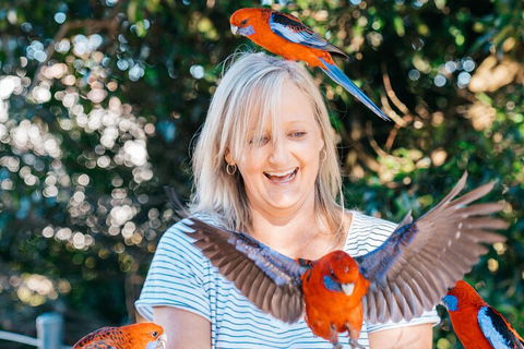 Aquaduck & Your Choice Of Gold Coast Rainforest Tour - Goulburn Accommodation 5