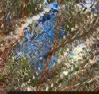 Kangaroo Island 4WD Tour - Best of KI in 2 Days - Goulburn Accommodation