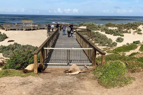 Kangaroo Island 4WD Tour - Best Of KI - Goulburn Accommodation 2