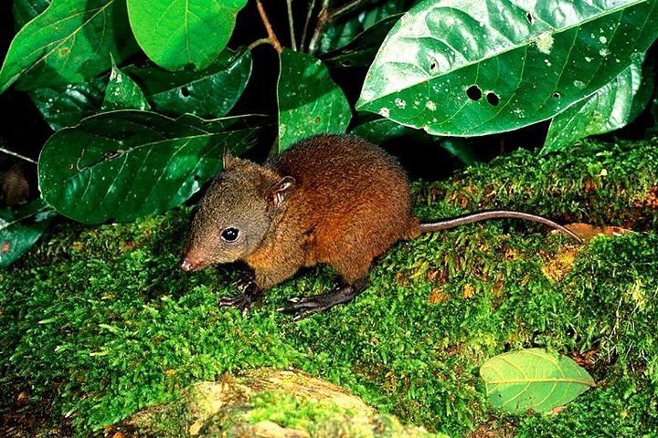 Goulburn Accommodation