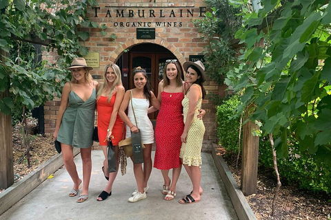 A Full Day Hunter Valley Wine Tasting Tour With Lunch And Tasting Fee's Included - Goulburn Accommodation 4