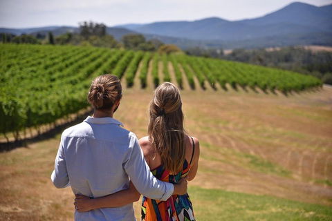 Yarra Valley Wine, Bubbles And Gin Tour! - Goulburn Accommodation 4