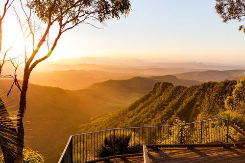 O'Reilly's & Lamington National Park Incl. Alpaca Farm + Vineyard - Goulburn Accommodation 0