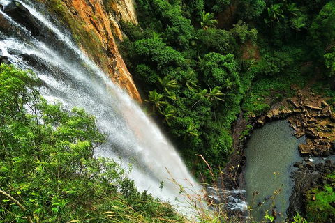 Natural Arch, Rainforest & Volcano Canyon - Private Half Day Tour - Goulburn Accommodation 5