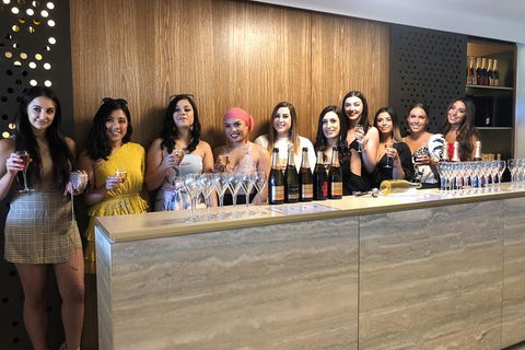 Yarra Valley Public Winery Tours - Goulburn Accommodation 0
