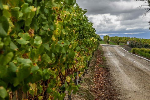 Yarra Valley Public Winery Tours - Goulburn Accommodation 2