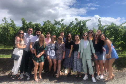 Yarra Valley Public Winery Tours - Goulburn Accommodation 3