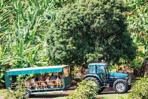 Tropical Fruit World With Wildlife Boat Cruise From Gold Coast - Goulburn Accommodation 1