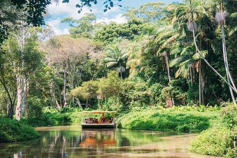 Tropical Fruit World With Wildlife Boat Cruise From Gold Coast - Goulburn Accommodation 3