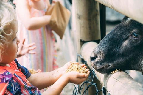 Tropical Fruit World With Wildlife Boat Cruise From Gold Coast - Goulburn Accommodation 5