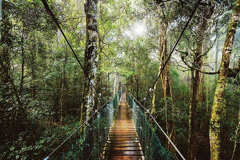 O'Reilly's & Lamington National Park From Gold Coast - Goulburn Accommodation 0