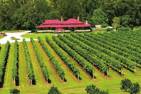 O'Reilly's & Lamington National Park From Gold Coast - Goulburn Accommodation 2