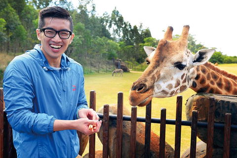 Croc Express To Australia Zoo From Gold Coast - Goulburn Accommodation 1