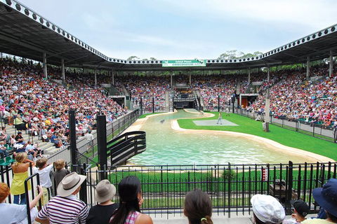 Croc Express To Australia Zoo From Gold Coast - Goulburn Accommodation 2