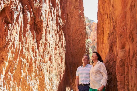 Best Of Alice Springs Full Day Tour - Goulburn Accommodation 4