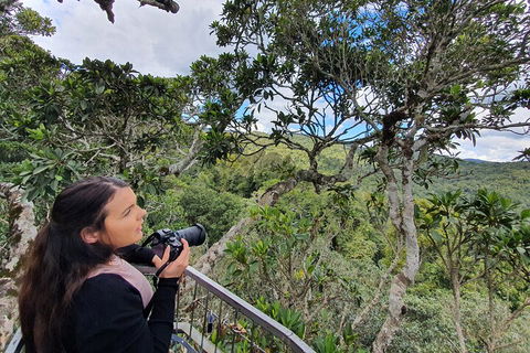 Lamington National Park, O'Reilly's & Vineyard Tour - Goulburn Accommodation 1