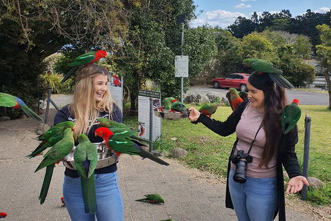Lamington National Park, O'Reilly's & Vineyard Tour - Goulburn Accommodation 5