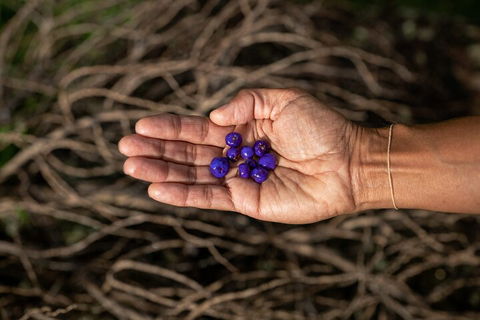 Cape Byron Aboriginal Tour - Goulburn Accommodation 0