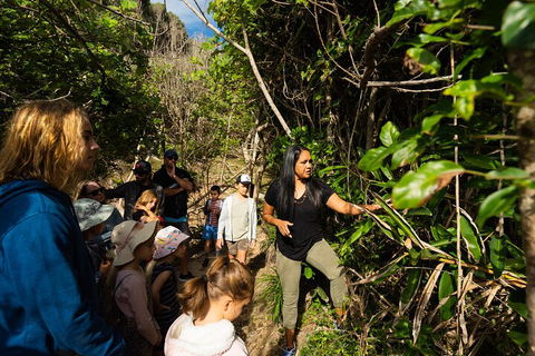 Cape Byron Aboriginal Tour - Goulburn Accommodation 4