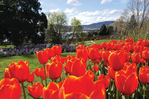 Hobart Half-Day Sightseeing Coach Tram Tour - Goulburn Accommodation 4