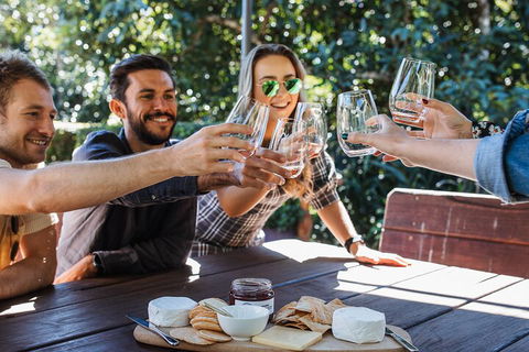 Full-day Wine-Tasting And Tamborine Mountain Tour With Lunch - Goulburn Accommodation 0