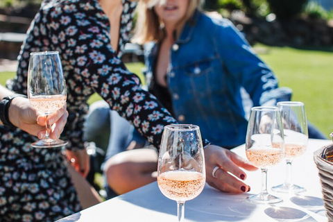 Full-day Wine-Tasting And Tamborine Mountain Tour With Lunch - Goulburn Accommodation 1
