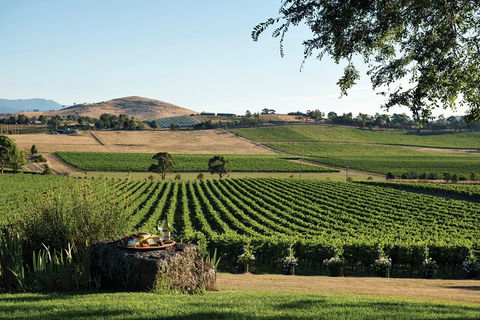 Yarra Valley 2-6 Guests Premium Food And Wine Inc Lunch At Dominique Portet - Goulburn Accommodation 2