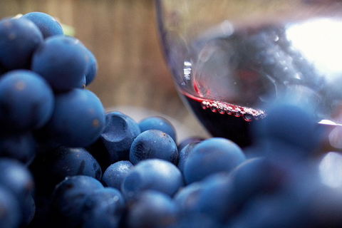 Yarra Valley 2-6 Guests Premium Food And Wine Inc Lunch At Dominique Portet - Goulburn Accommodation 5
