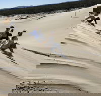 Port Stephens Bush Beach and Sand Dune 4WD Tag-Along Tour - Goulburn Accommodation