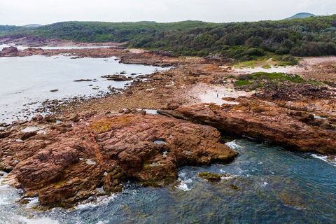 Port Stephens Bush, Beach And Sand Dune 4WD Tag-Along Tour - Goulburn Accommodation 4
