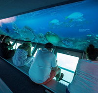 Great Barrier Reef Day Cruise to Reefworld - Goulburn Accommodation