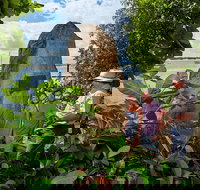 3 Day Cape Tribulation  Cooktown Tour from Cairns or Port Douglas - Goulburn Accommodation