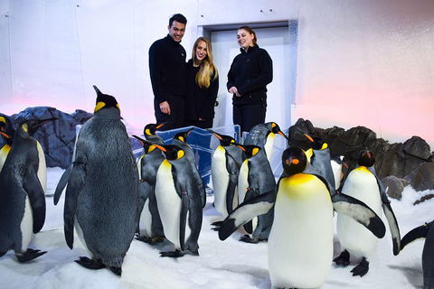 Penguin Passport At SEA LIFE Melbourne Aquarium - Goulburn Accommodation 4