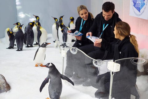 Penguin Passport At SEA LIFE Melbourne Aquarium - Goulburn Accommodation 5