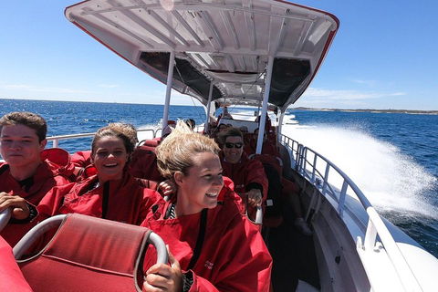 Adventure Rottnest Tour With Ferry & Adventure Cruise From Perth Or Fremantle - Goulburn Accommodation 0
