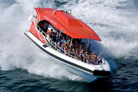 Adventure Rottnest Tour With Ferry & Adventure Cruise From Perth Or Fremantle - Goulburn Accommodation 2