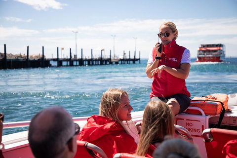 Adventure Rottnest Tour With Ferry & Adventure Cruise From Perth Or Fremantle - Goulburn Accommodation 4