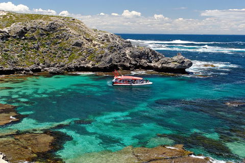 Adventure Rottnest Tour With Ferry & Adventure Cruise From Perth Or Fremantle - Goulburn Accommodation 5