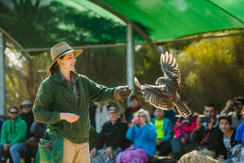 Full Day Kangaroo Island Sip And See Tour Departing From Kangaroo Island - Goulburn Accommodation 1