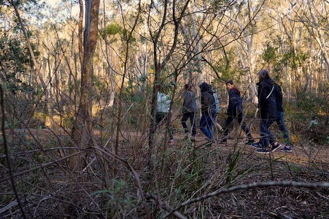 Wild Australian Wildlife 4WD Tour From Sydney - Goulburn Accommodation 0