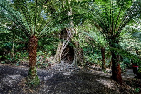 Adelaide To Melbourne 3-Day Trip Through Grampians And Great Ocean Road - Goulburn Accommodation 0