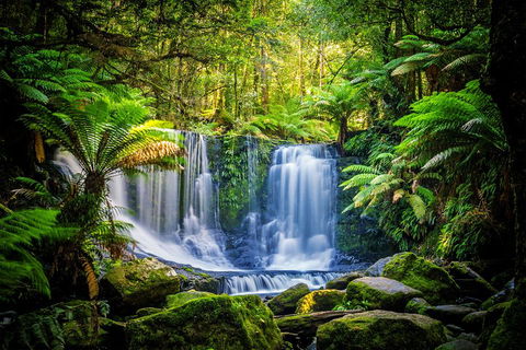 Day Tour In Mt. Field, Mt. Wellington, Bonorong Wildlife Sanctuary And Richmond - Goulburn Accommodation 0