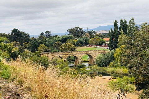 Day Tour In Mt. Field, Mt. Wellington, Bonorong Wildlife Sanctuary And Richmond - Goulburn Accommodation 3