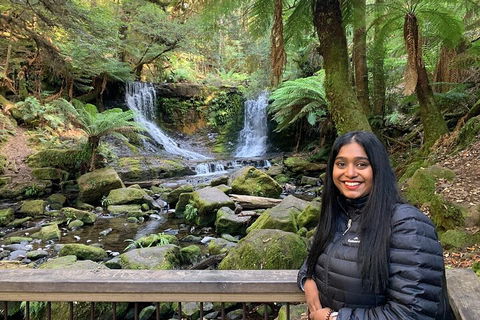 Day Tour In Mt. Field, Mt. Wellington, Bonorong Wildlife Sanctuary And Richmond - Goulburn Accommodation 5