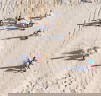 Unlimited Sandboarding - Goulburn Accommodation