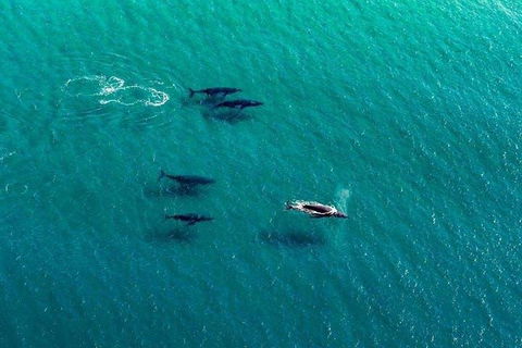 40-45 Minute Port Stephens And Stockton Beach Helicopter Flight - For 2 - Goulburn Accommodation 0